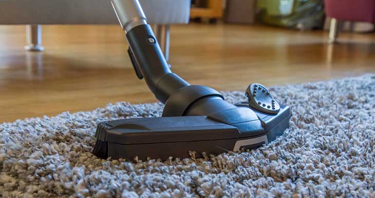 Best Shark vacuums for allergies and pet hair