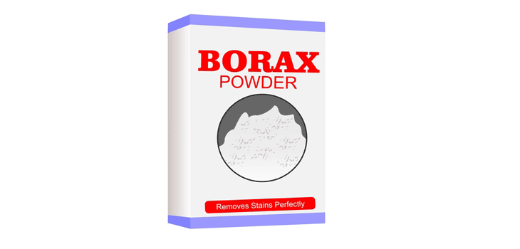 Does Borax Kill Dust Mites